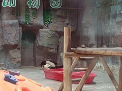 -栾川竹海野生动物园
