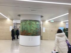 -泰州市人民医院(总院区)