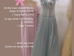 -MSV 高端礼服定制(大良店)