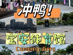 -深圳市宝安体育中心体育场