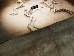 -洛阳周王城天子驾六博物馆