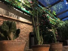 -杨桃院子咖啡吧(中华红墨店)