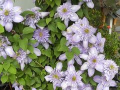 -郎园Park-停车场