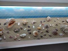 -嵊泗基湖沙滩