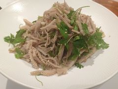 -阿五黄河大鲤鱼(海尚店)
