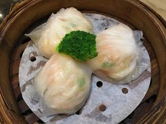 -新兴·金羊座·粤菜点心(乐峰店)