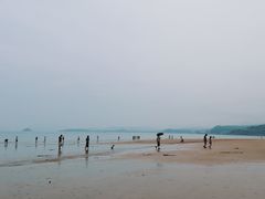 -大京沙滩