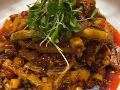 -院8里·少城记忆老川菜(宽窄巷子店)