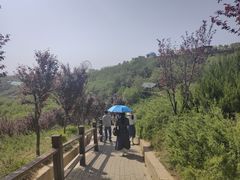 -白鹿原影视城