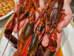 -新光酒家·河豚·海鲜·蟹料理(浦东店)