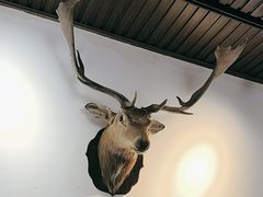 -山也·私厨(岳麓店)