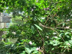 -188西餐厅(园林宾馆店)