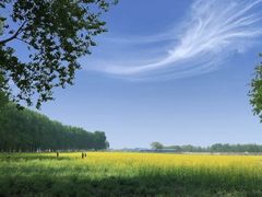 -天津武清北运河郊野公园房车露营地