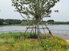 -东郊湿地公园