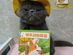 -瑞虹新天地月亮湾