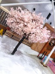-Mr·Kuma酷么先生雪之乐园