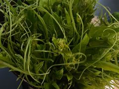-新草堂锅物料理(泉城路店)