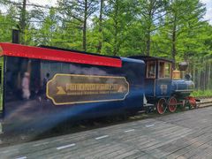 -莫尔道嘎国家森林公园