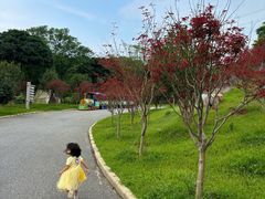 -广州市帽峰山景区