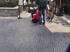 -南小馆(迪士尼小镇店)
