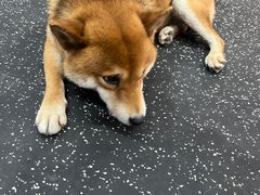 -博纳私人订制健身(中集美兰湖店)