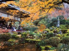 -三千院