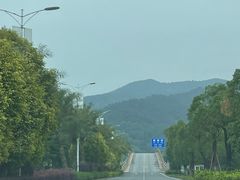 -南海湾森林生态园