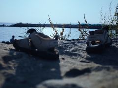 -南汇嘴观海公园