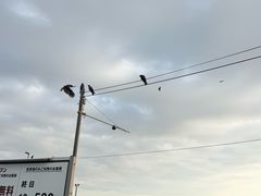 -灌篮高手动画打卡地
