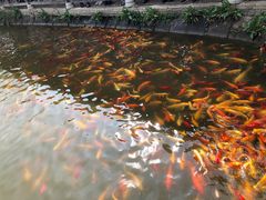 -武汉紫薇都市田园