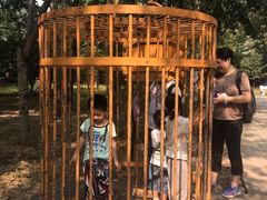 -北京麋鹿生态实验中心