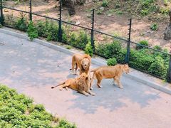 -大连森林动物园