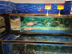 -小贝壳酒楼(经九路店)