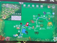 -海南热带野生动植物园