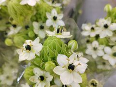-安徽宿州希尔顿逸林酒店