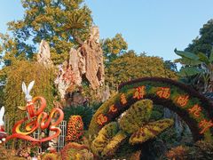 -西湖公园(鼓楼区)