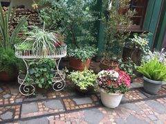 -三鹰之森吉卜力美术馆