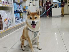 -美联众合动物医院·24h京西诊疗中心