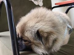 -铁炉咖啡(河下古镇店)