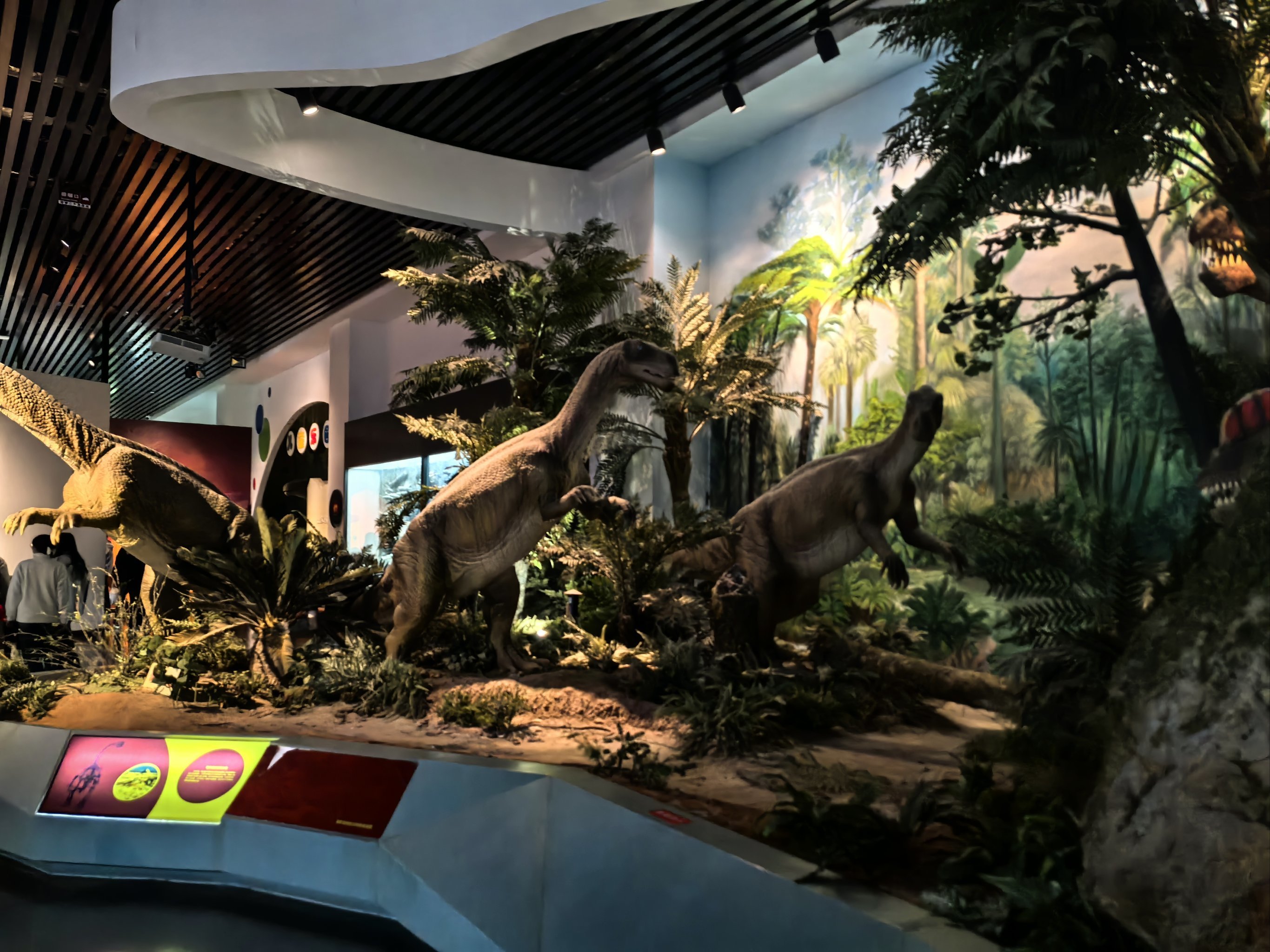 历史爱好者的宝藏打卡地❗❓