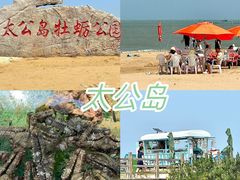 -日照灯塔风景区