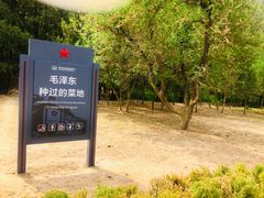 -延安杨家岭革命旧址