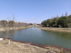 -上海海湾国家森林公园