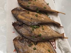 -洲晓鲜·舟山海鲜大排档(朱家尖风景区店)