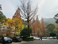 -宁海森林温泉