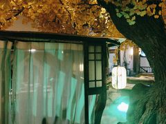 -淀里船宴(裕华东路店)