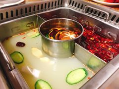 鸳鸯子母锅-草原塞蛮羊火锅城(港湾店)