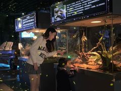 -顺德南宏海立方海洋公园