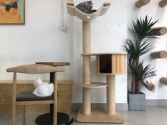 大堂-Heymao猫咖.咖啡厅(东门店)