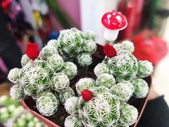 -三旗百汇商品城